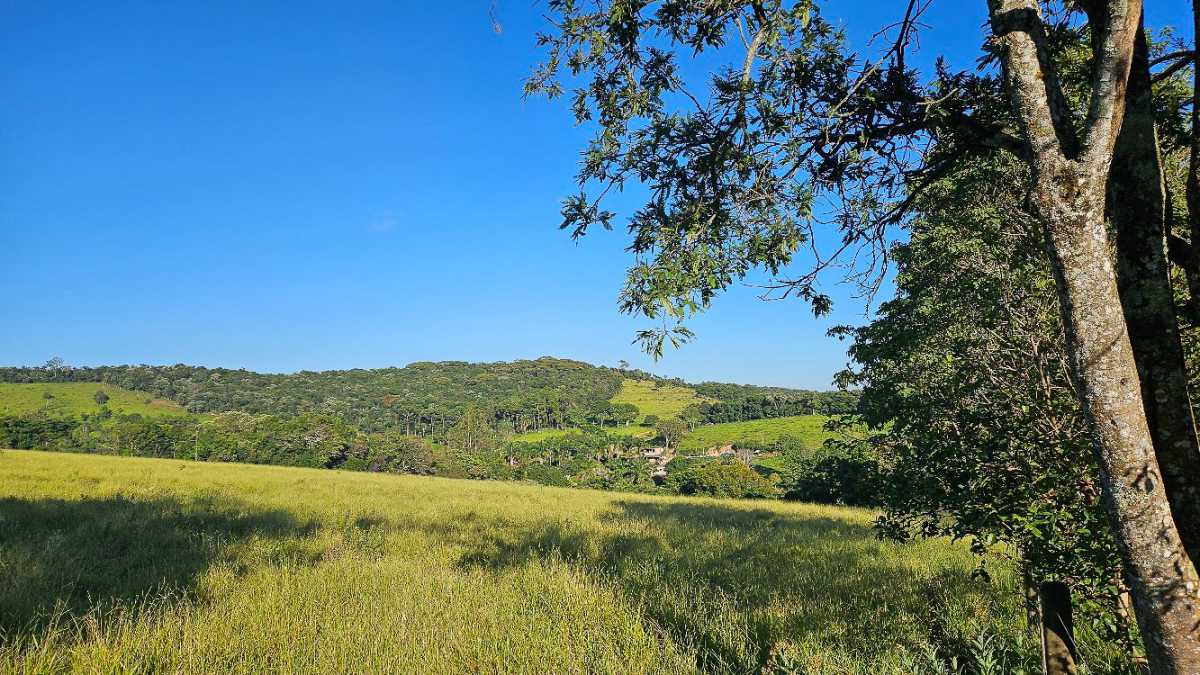 Vendido - LUXOSA FAZENDA A VENDA EM SANTO ANTÔNIO DO LEITE, OURO PRETO - MBFA60003