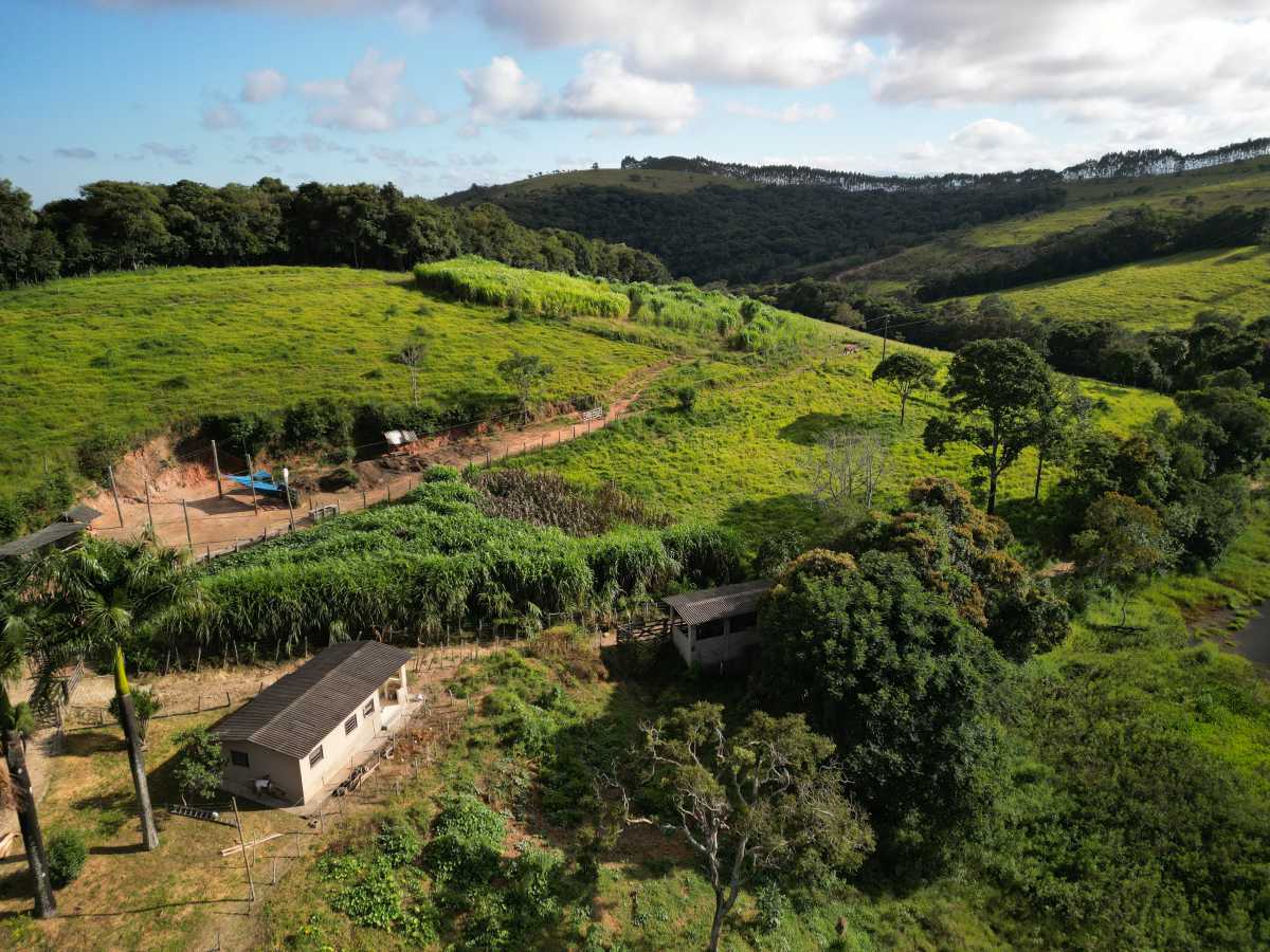 Vendido - LUXOSA FAZENDA A VENDA EM SANTO ANTÔNIO DO LEITE, OURO PRETO - MBFA60003