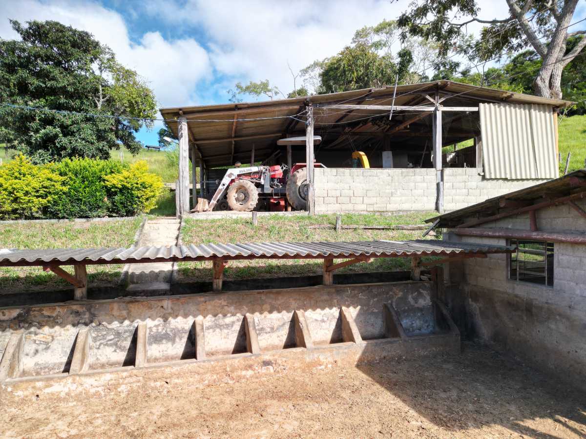 Vendido - LUXOSA FAZENDA A VENDA EM SANTO ANTÔNIO DO LEITE, OURO PRETO - MBFA60003