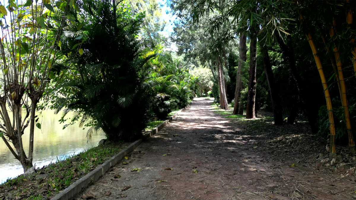 Vendido - LUXOSA FAZENDA A VENDA EM SANTO ANTÔNIO DO LEITE, OURO PRETO - MBFA60003