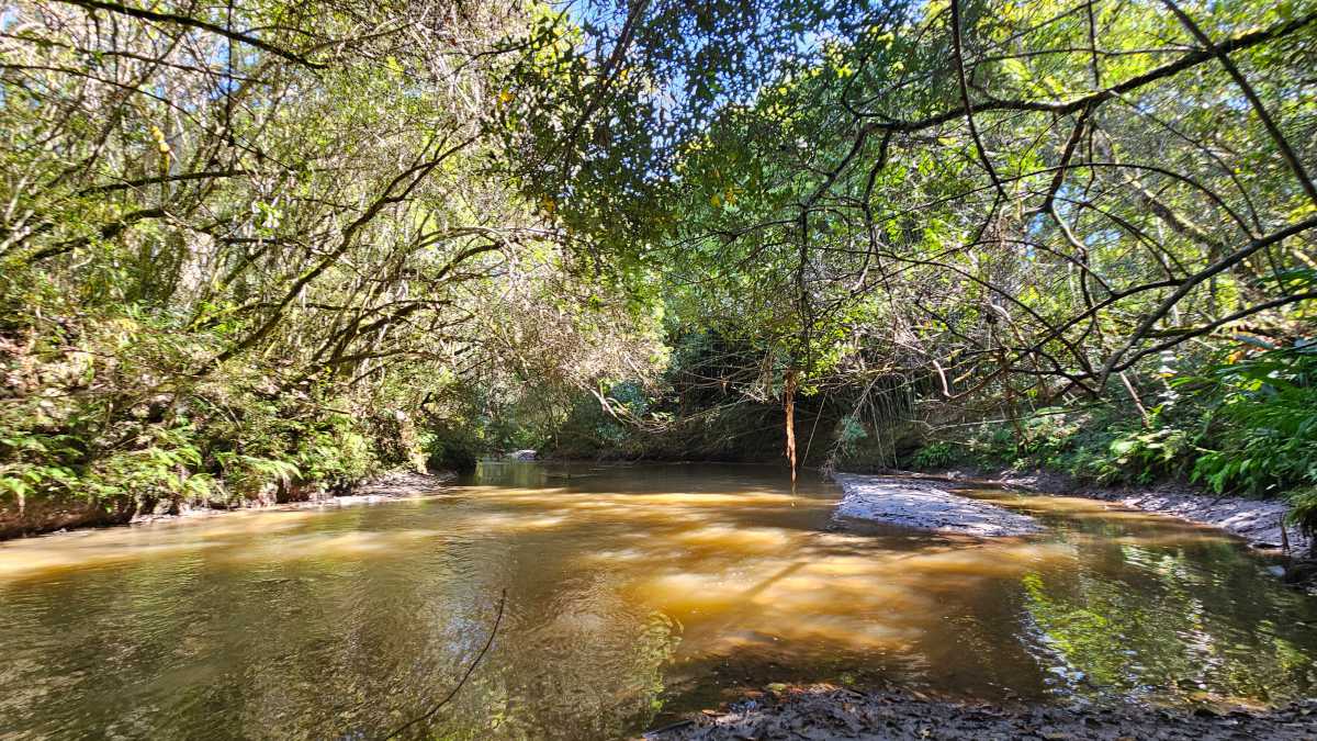 ESCRITURA E REGISTRO - Sítio 128600m² à venda Ouro Preto,MG Glaura - MBSI60003