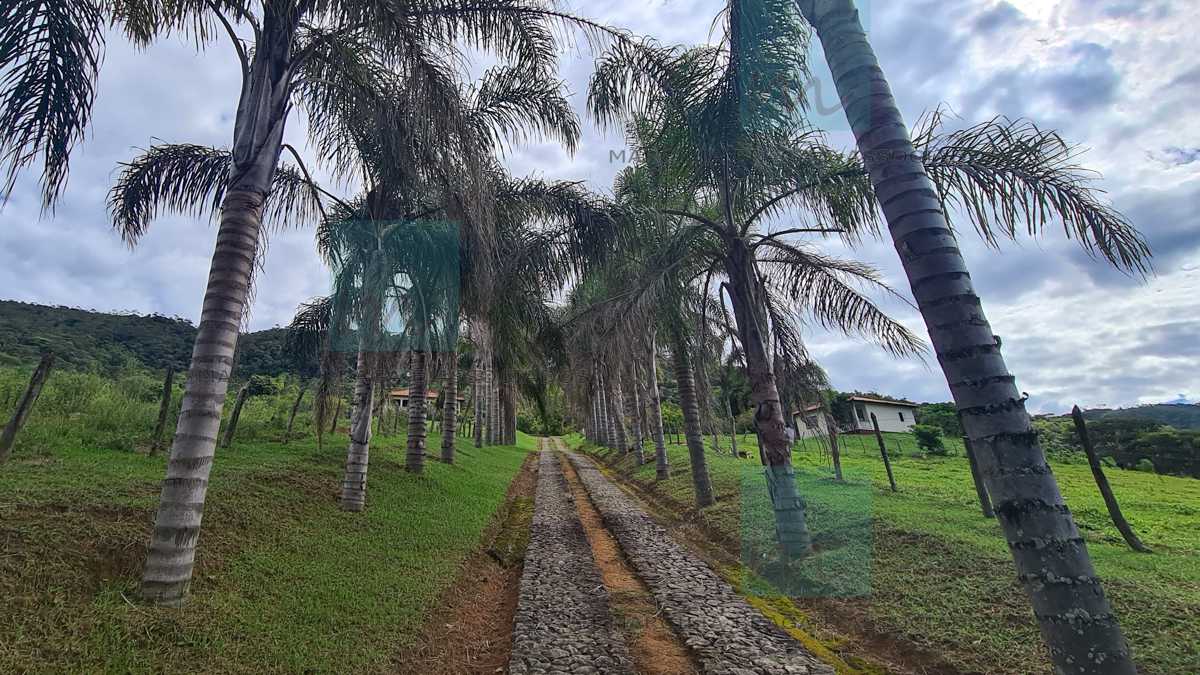 REDUÇÃO DE PREÇO !! - Refúgio na natureza: Fazenda com tudo o que você precisa para uma vida tranquila e confortável - MBFA40002