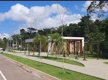 Conheça FOTO_5 do imóvel - Terreno Residencial à venda Ponta Negra, Manaus - R$ 440.000 - TE0924 - 5 FOTO_5 - 5