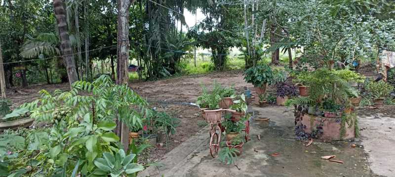 Conheça 15 do imóvel - Chácara 3000m² à venda Zona Rural, Iranduba - R$ 450.000 - ADCH50001 - 15 15 - 15