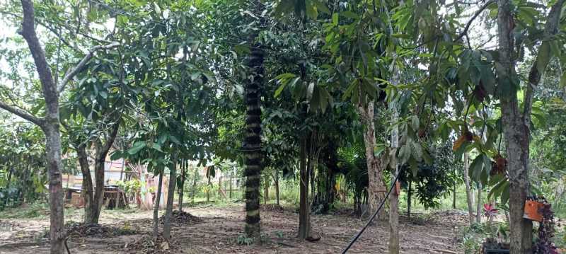 Conheça 16 do imóvel - Chácara 3000m² à venda Zona Rural, Iranduba - R$ 450.000 - ADCH50001 - 16 16 - 16