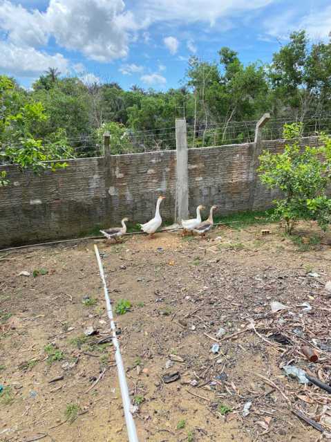 Conheça 25 do imóvel - Chácara à venda Zona Rural, Iranduba - R$ 450.000 - ADCH40001 - 28 25 - 28