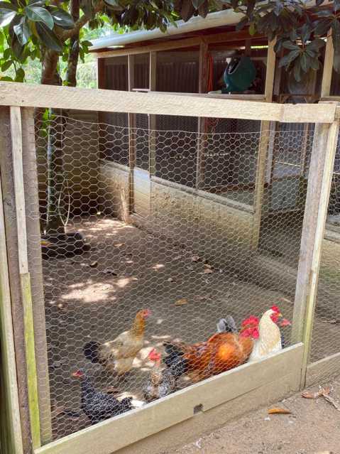 Conheça 27 do imóvel - Chácara à venda Zona Rural, Iranduba - R$ 450.000 - ADCH40001 - 30 27 - 30