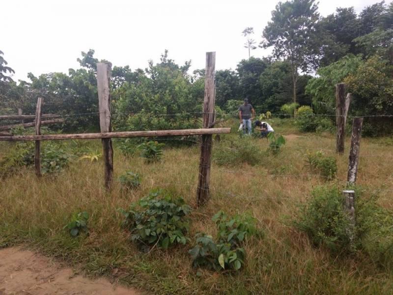 Conheça FOTO_2 do imóvel - Terreno Residencial à venda Zona Rural, Iranduba - R$ 25.000 - TE0204 - 2 FOTO_2 - 2