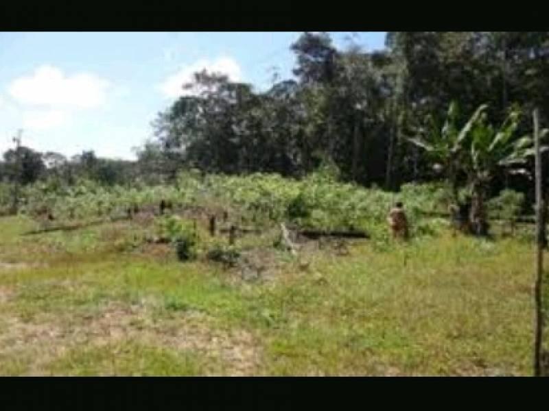 Conheça FOTO_1 do imóvel - Terreno Residencial à venda Área Rural, Manaus - R$ 40.000 - TE0774 - 1 FOTO_1 - 1