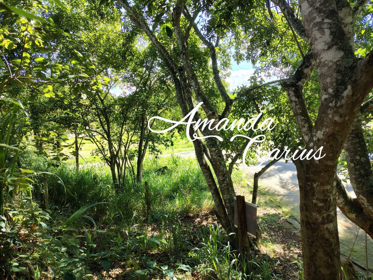 Terreno aclive excelente - ACTR00002