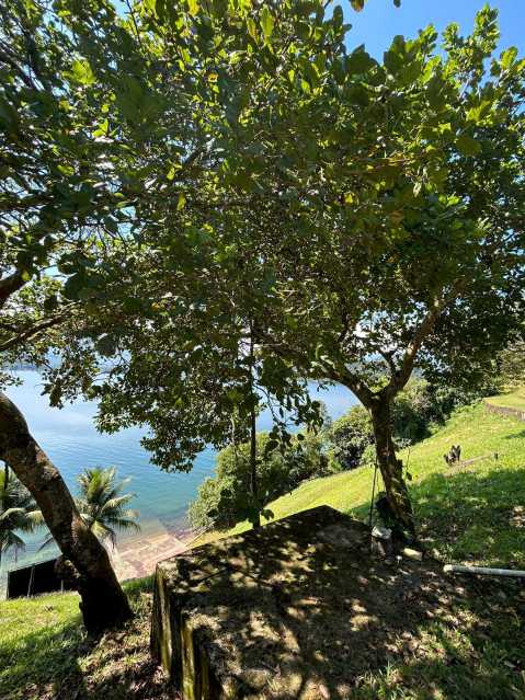 Ilhas no rio de janeiro 