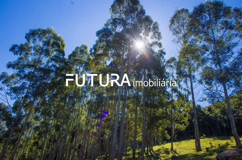 Conheça eco-pousada-fazenda-rancho 7 do imóvel - Rural à venda Lumiar, Nova Friburgo - R$ 2.400.000 - FTTU00001 - 5 eco-pousada-fazenda-rancho 7 - 5