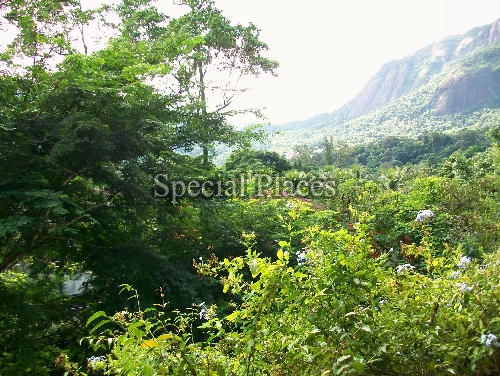 Conheça VISTA do imóvel - Casa em Condomínio 4 quartos à venda Jardim do Itanhangá, Itanhangá - Itanhangá, Rio de Janeiro - BAC5061 - 3 VISTA - 3