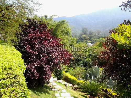 Conheça VISTA do imóvel - Casa em Condomínio 3 quartos à venda Jardim do Itanhangá, Itanhangá - Itanhangá, Rio de Janeiro - R$ 6.000.000 - BAC2432 - 29 VISTA - 29
