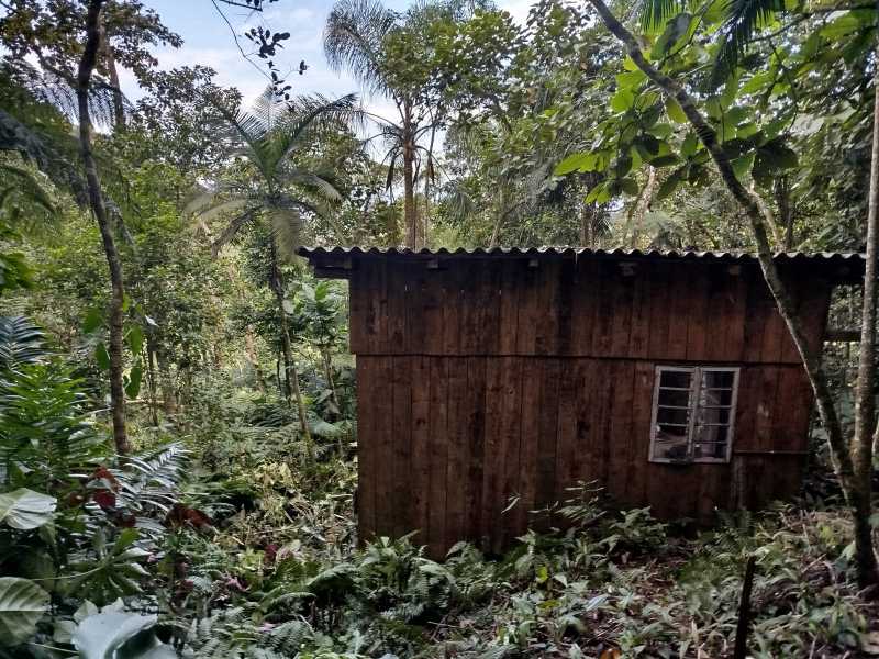 Conheça 5 do imóvel - Sítio à venda Rega, Pomerode - R$ 320.000 - JISI00001 - 5 5 - 5