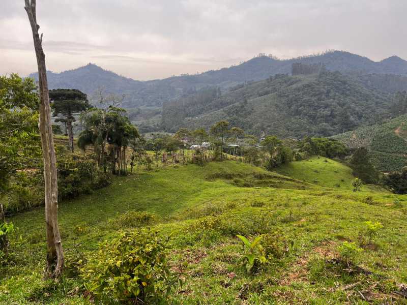 Conheça 5 do imóvel - Chácara à venda Pedra de Amolar, Corupá - R$ 1.499.000 - JICH00001 - 5 5 - 5