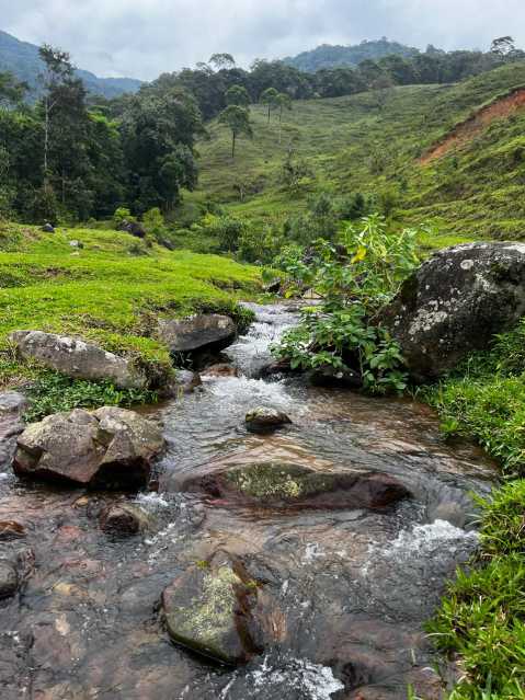 Conheça 10 do imóvel - Chácara à venda Pedra de Amolar, Corupá - R$ 1.499.000 - JICH00001 - 10 10 - 10