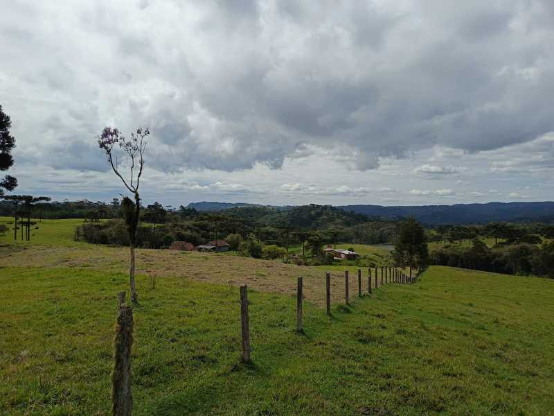 Conheça WhatsApp Image 2026-10-29 at 1 do imóvel - Fazenda 260599m² à venda Rio Vermelho Povoado, São Bento do Sul - R$ 2.350.000 - JIFA30001 - 5 WhatsApp Image 2026-10-29 at 1 - 5