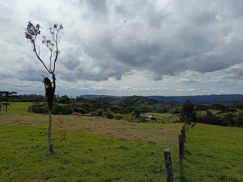 Conheça WhatsApp Image 2026-10-29 at 1 do imóvel - Fazenda 260599m² à venda Rio Vermelho Povoado, São Bento do Sul - R$ 2.350.000 - JIFA30001 - 6 WhatsApp Image 2026-10-29 at 1 - 6