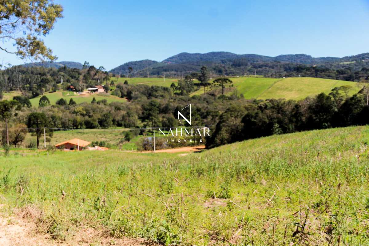 Chácara à venda  Rural, Tijucas do Sul - R$ 500.000