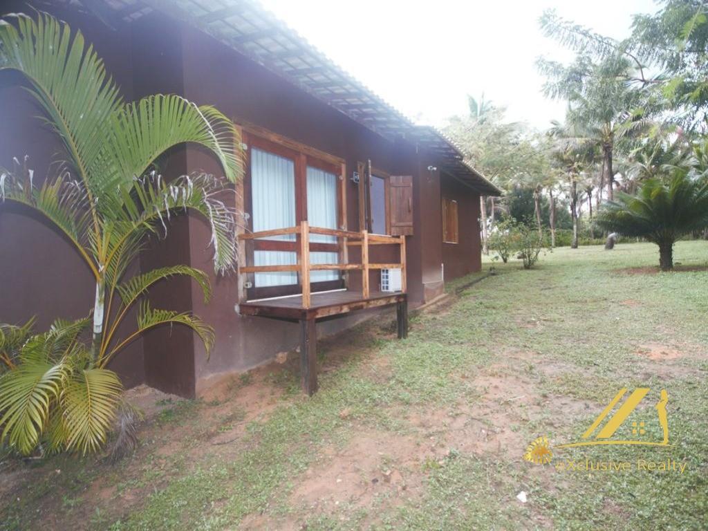 FOTO_3 - 3
