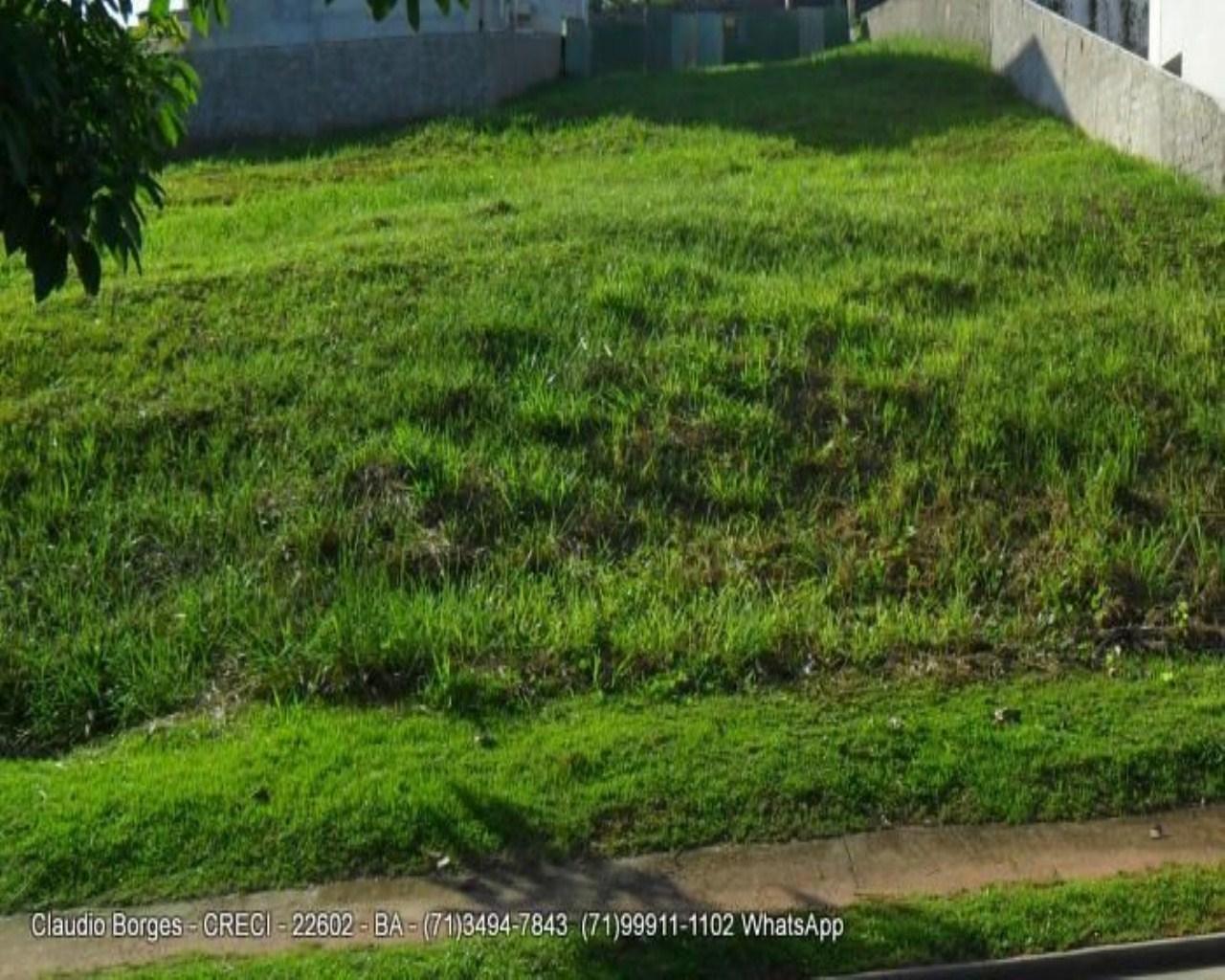 FOTO_2 - 2