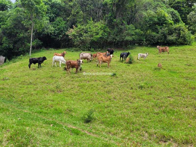 Sítio 325000m² à venda Itatiba,SP Mombuca - R$ 3.500.000