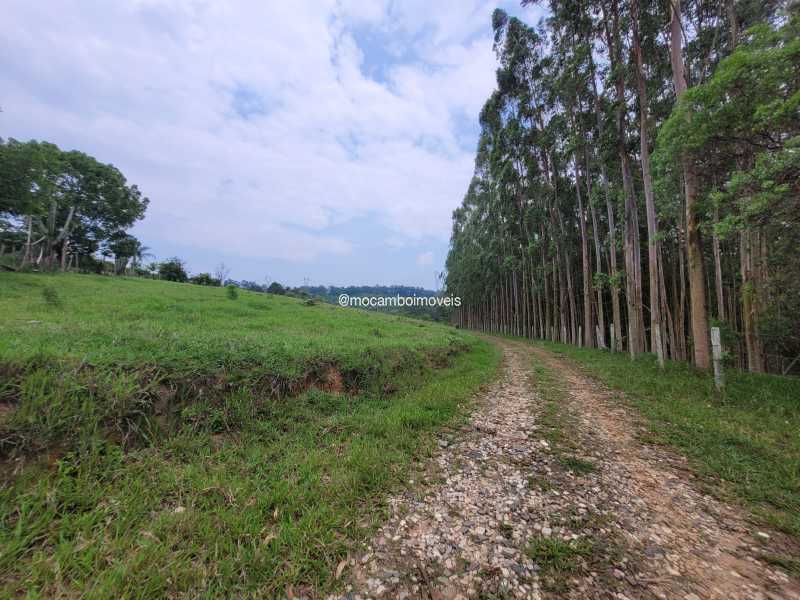 Sítio 325000m² à venda Itatiba,SP Mombuca - R$ 3.500.000