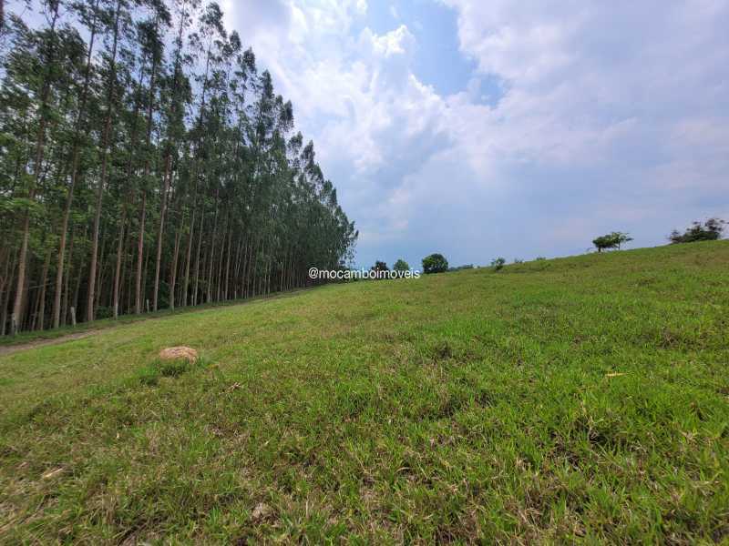 Sítio 325000m² à venda Itatiba,SP Mombuca - R$ 3.500.000