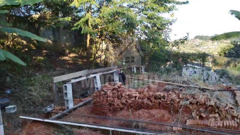 IMG-20250219-WA0019 - 2