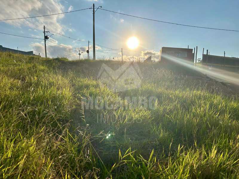 Terreno - 4
