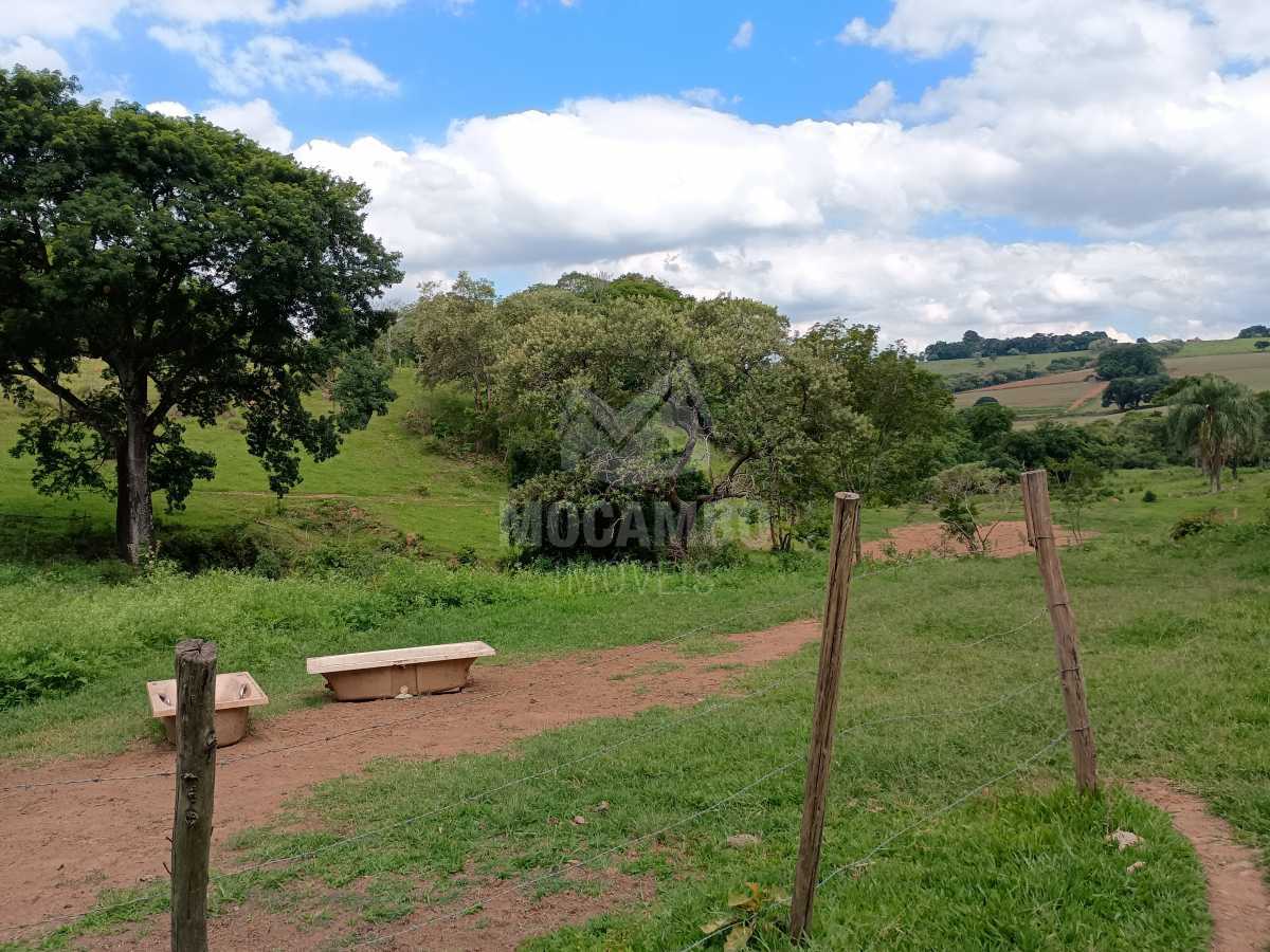 Sítio 39272m² à venda Itatiba,SP  Jardim Nossa Senhora das Graças - R$ 2.400.000