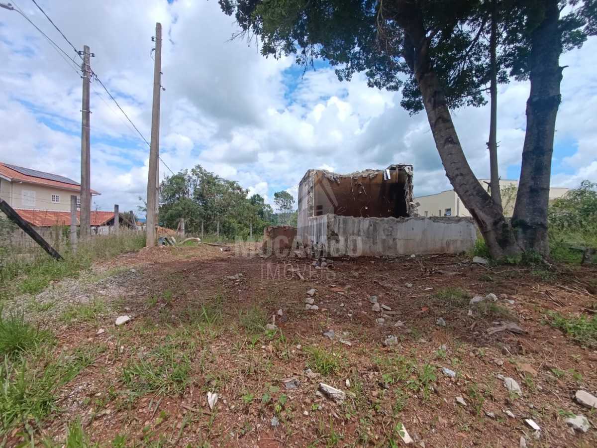 Lateral - 3