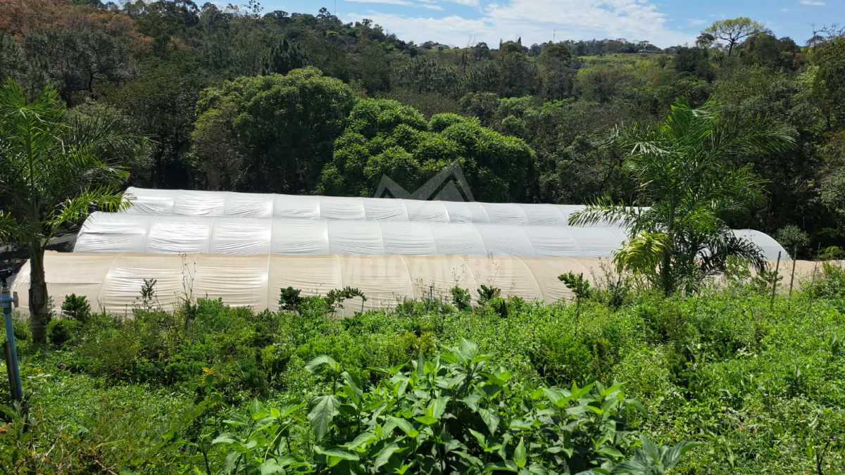 Sítio 71000m² à venda Jundiaí,SP  Champirra - R$ 3.500.000