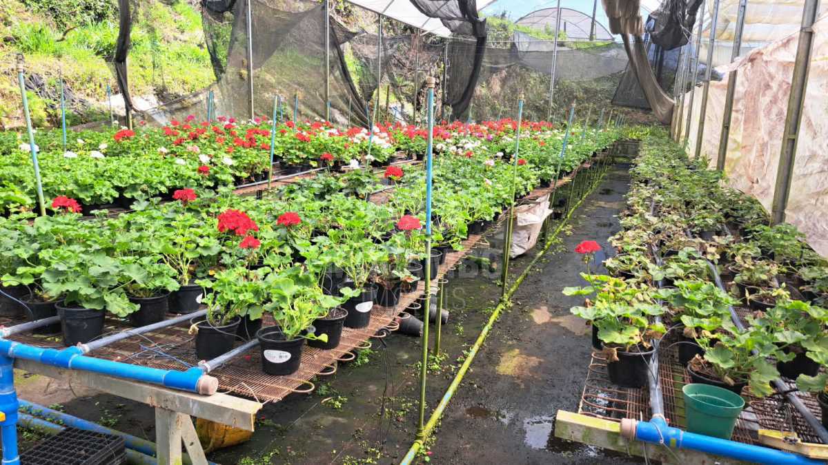 Sítio 71000m² à venda Jundiaí,SP  Champirra - R$ 3.500.000