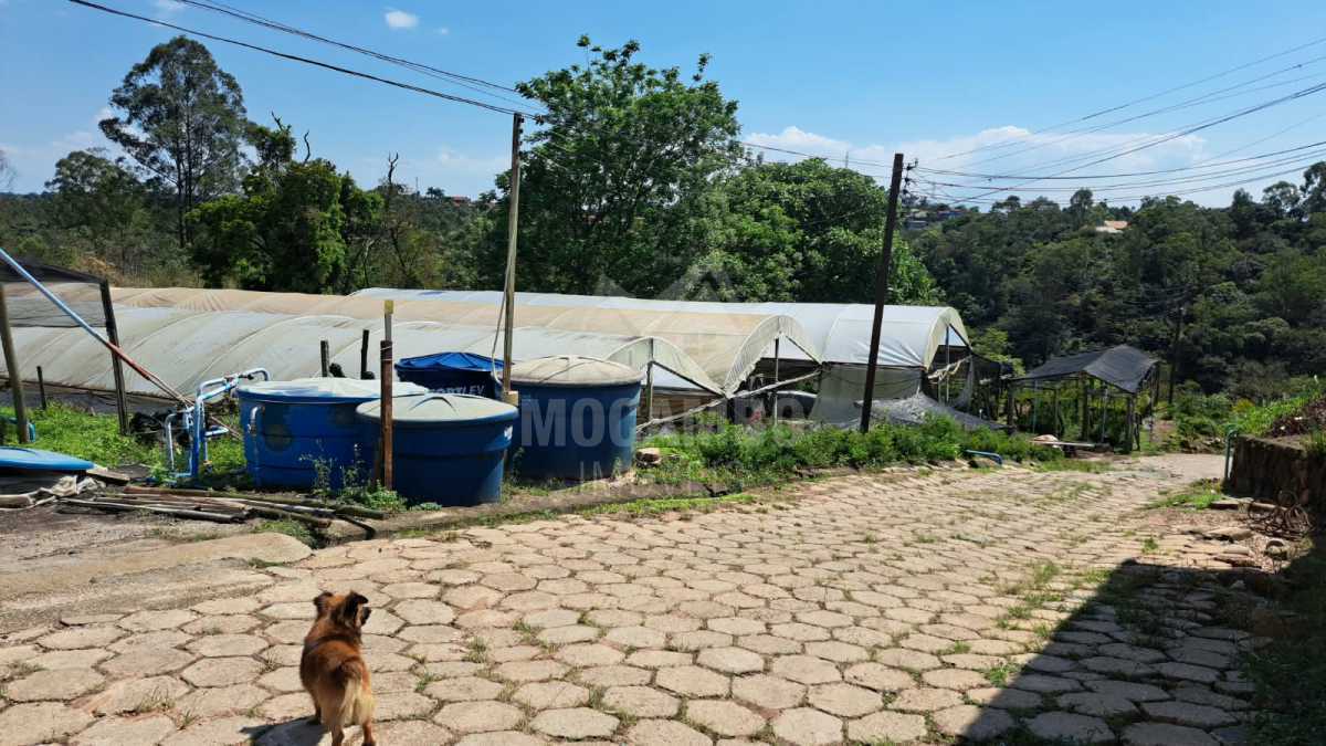 Sítio 71000m² à venda Jundiaí,SP  Champirra - R$ 3.500.000