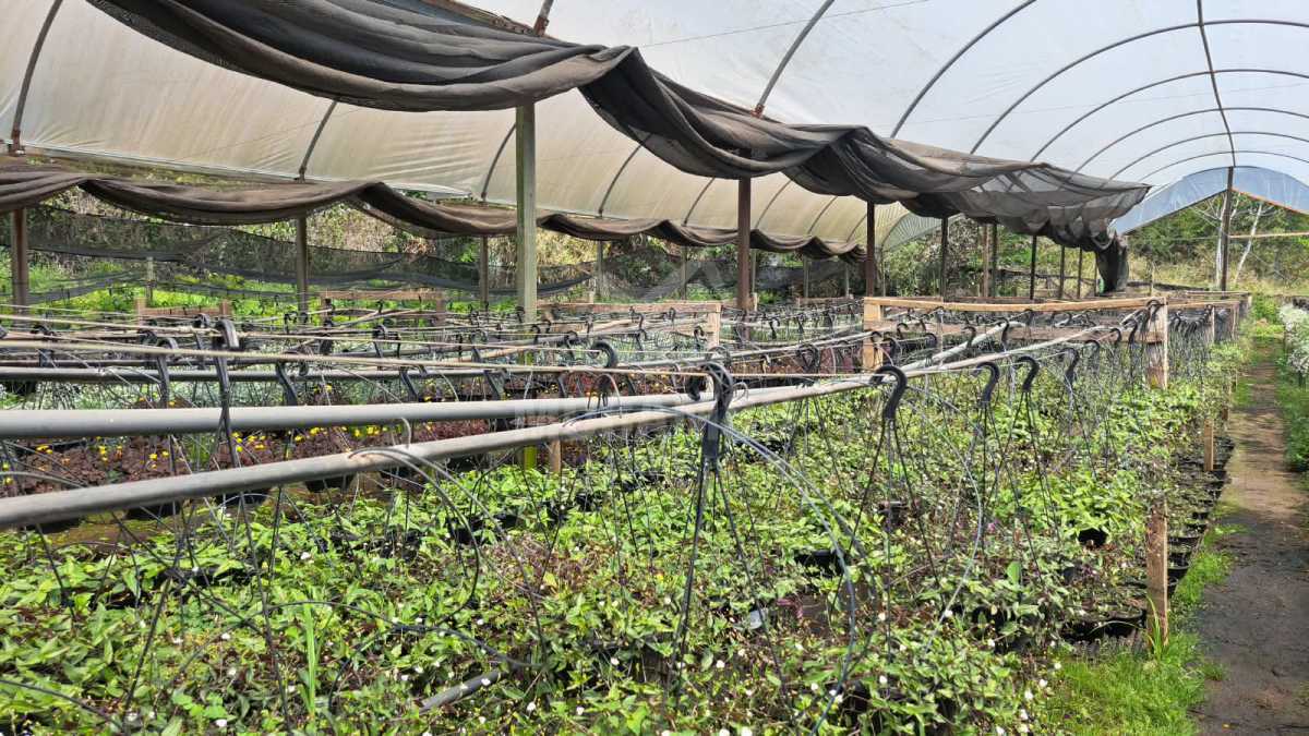 Sítio 71000m² à venda Jundiaí,SP  Champirra - R$ 3.500.000