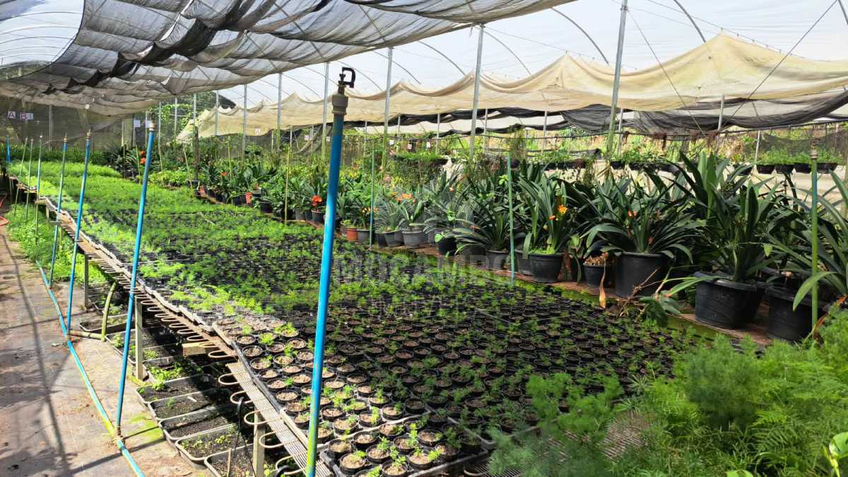 Sítio 71000m² à venda Jundiaí,SP  Champirra - R$ 3.500.000