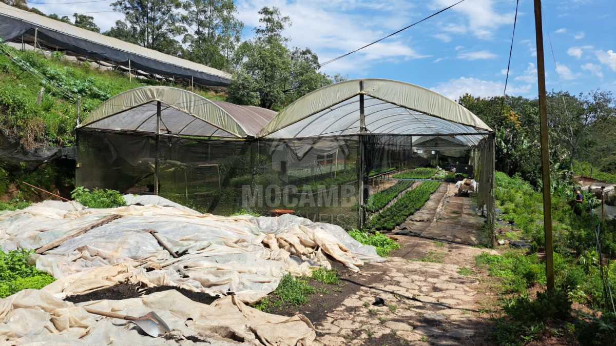 Sítio 71000m² à venda Jundiaí,SP  Champirra - R$ 3.500.000