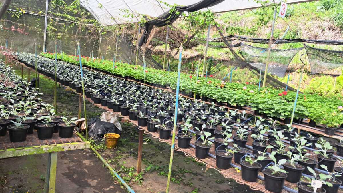 Sítio 71000m² à venda Jundiaí,SP  Champirra - R$ 3.500.000
