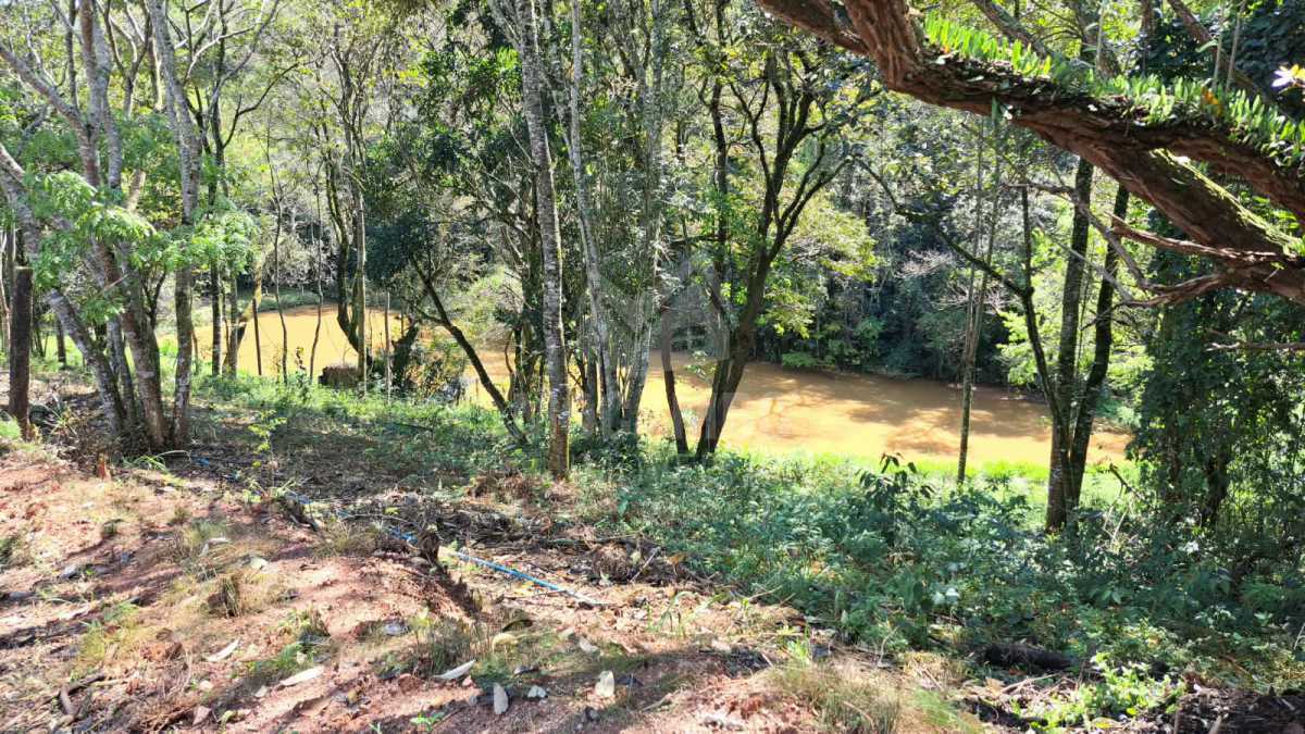 Sítio 71000m² à venda Jundiaí,SP  Champirra - R$ 3.500.000