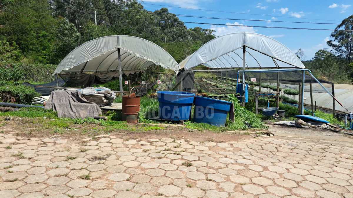 Sítio 71000m² à venda Jundiaí,SP  Champirra - R$ 3.500.000