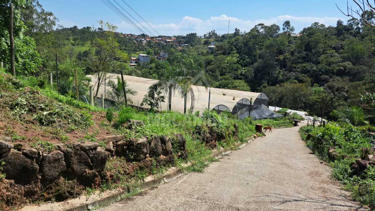 Sítio 71000m² à venda Jundiaí,SP  Champirra - R$ 3.500.000