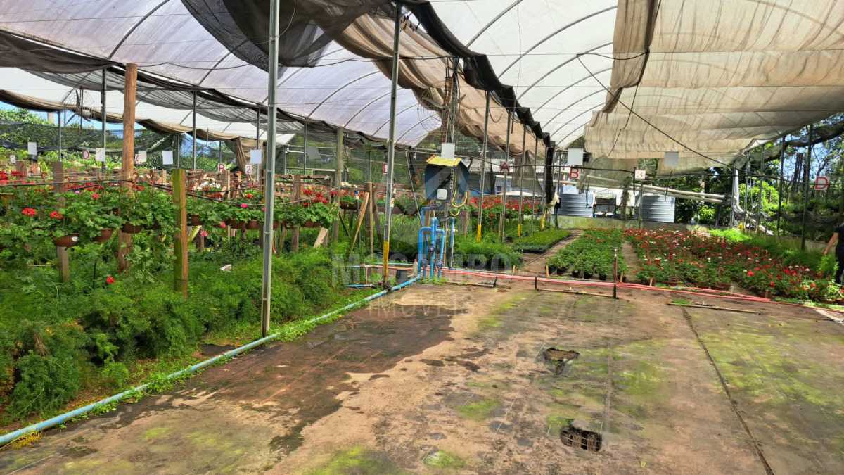 Sítio 71000m² à venda Jundiaí,SP  Champirra - R$ 3.500.000