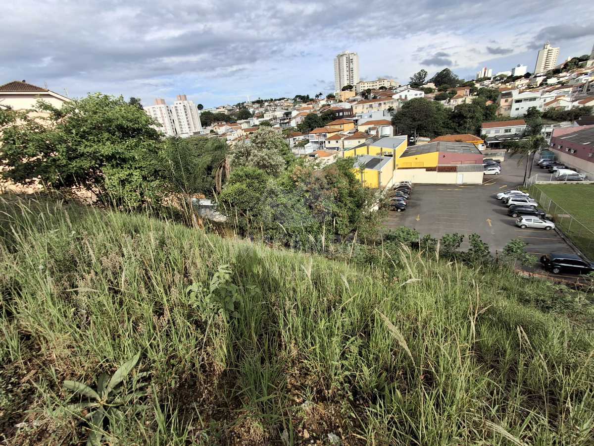 Terreno - 3