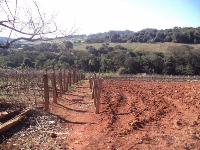 Sítio 91000m² à venda Itatiba,SP Bairro Tapera Grande - R$ 13.650.000