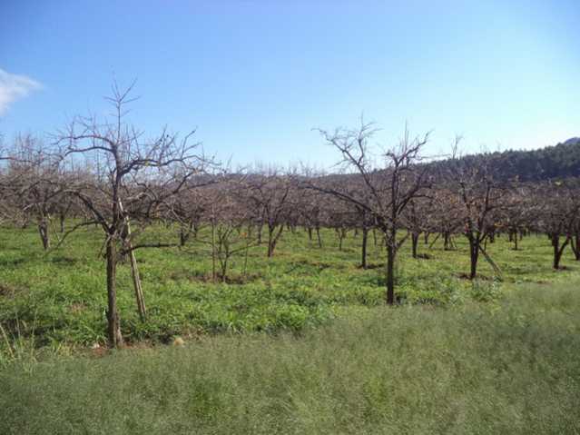 Sítio 91000m² à venda Itatiba,SP Bairro Tapera Grande - R$ 13.650.000