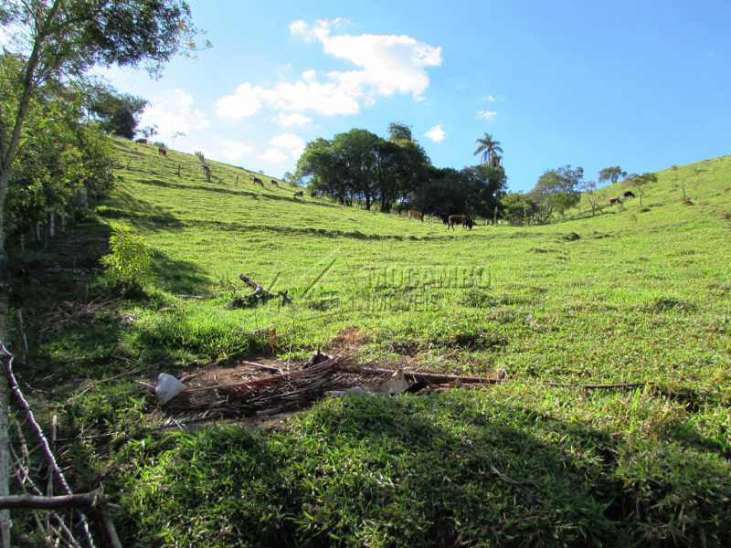 Conheça Pasto do imóvel - Sítio 21600m² à venda Itatiba,SP Bairro Itapema - R$ 1.600.000 - FCSI30001 - 6 Pasto - 6