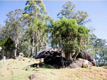 Fazenda 968000m² à venda Morungaba,SP Bairro do Couto - R$ 13.500.000