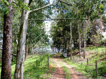 Fazenda 968000m² à venda Morungaba,SP Bairro do Couto - R$ 13.500.000